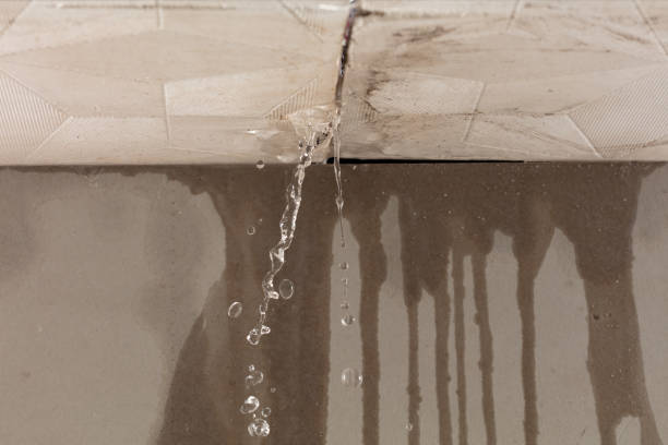 Professional Sewage Cleanup technician working in Greenfield, IL
